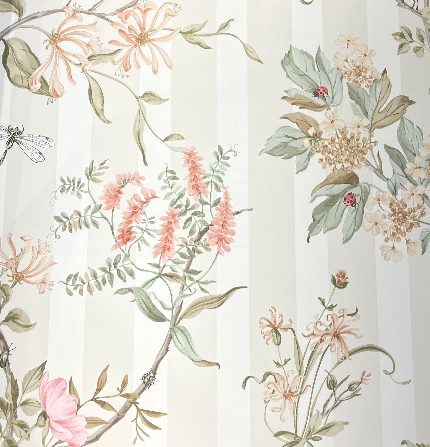 Wisteria Waltz Wallpaper – Coral
