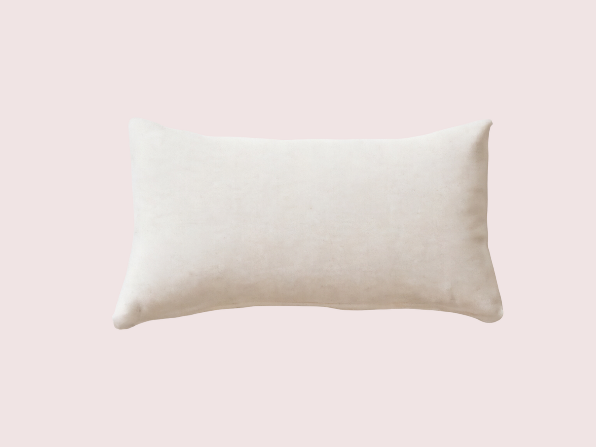 Front view of a plush 12x18 cushion filler