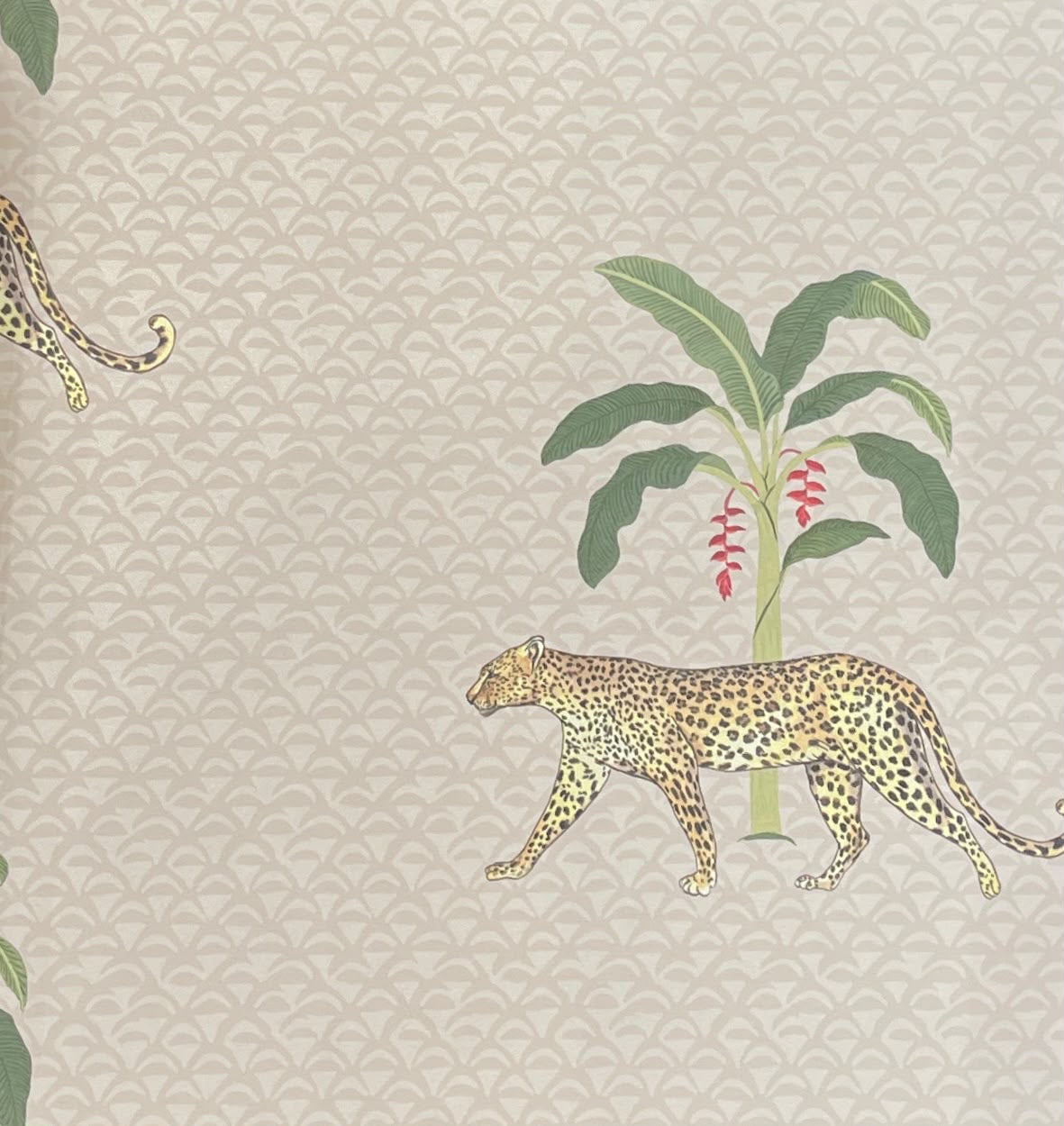 Spotted Garden Wallpaper – Ivory