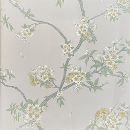 Sakura Wallpaper – Putty