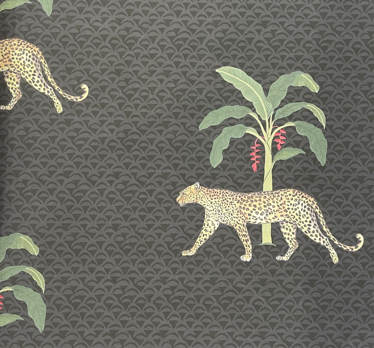 Spotted Garden Wallpaper – Charcoal