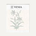 Aqua botanica study upholstery fabric swatch by Venia Home