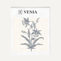 Indigo botanica study upholstery fabric swatch by Venia Home