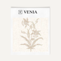 Sand botanica study upholstery fabric swatch by Venia Home